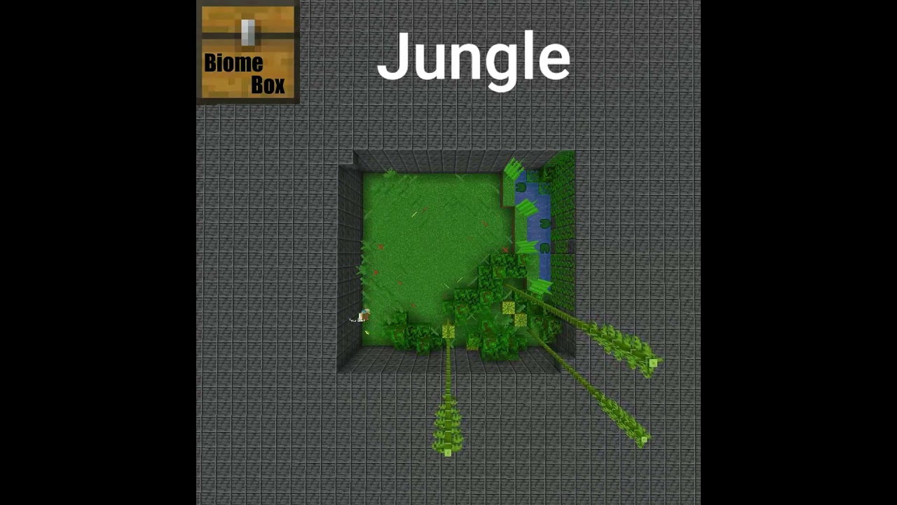 BiomeBox - Jungle