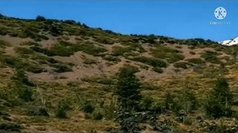 صلاه العشاء ||للقارئ الشيخ احمد محمد أمين