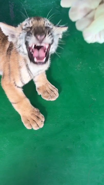 doesn't like fun at all 🤧