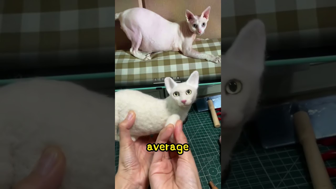 Wool Felt for Eternity: Sphynx Cat’s Gentle Memorial, Pure Healing Power!