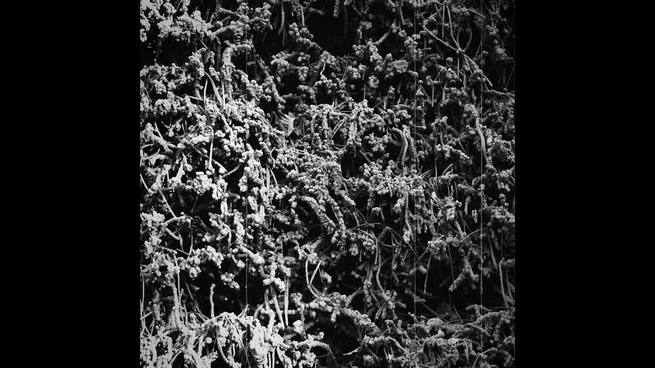 Necropolissebeht - Taurunovem - Th’Astraktyan Serfdome (Full Album)