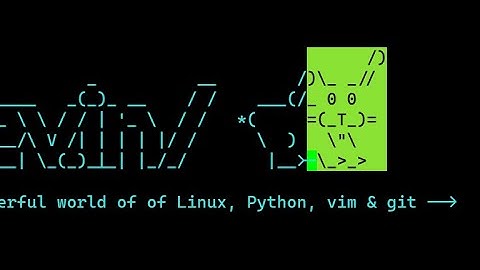 Stop Ctrl+V in vim for visual block mode in WSL from doing an OS paste