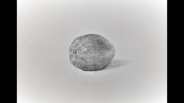 NATURE OBJECT DRAWING FOR CET ENTRANCE EXAM PREPARATION