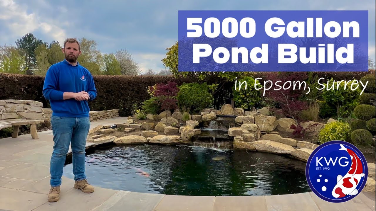 How To Build A Koi Pond In 17 Days 5000 Gallon KWG Pond Build In how-to-build-a-koi-pond-in-17-days-5000-gallon-kwg-pond-build-in