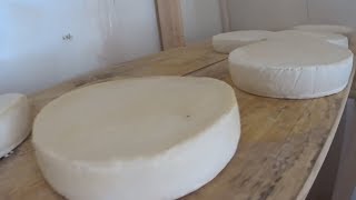 Proyecto busca entregar ayuda a crianceros de Atacama en la implementación de queso de cabra