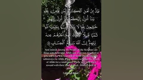 سورة آل عمران من 196 الى 200 @الجميع