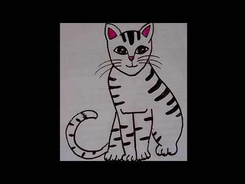 Easy step on how to draw cat the word of cat 🐈😾|#animals |Amazing starsmoon