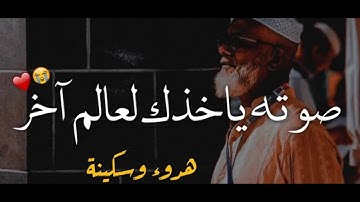 تلاوة تنسيك هم الدنيا💜حالات واتس اب قرآن كريم🤎بصوت شريف مصطفى💙مقاطع انستقرام دينية ستوريات دينية❤