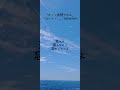 「ずっと大好きだよ」「ほんと?...」/RADWIMPS #radwimps #野田洋次郎 #「ずっと大好きだよ」「ほんと?...」 #おすすめ曲