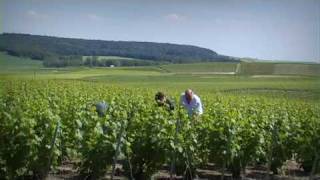 Sensations en Champagne - Visite du domaine viticole Xavier Duvat