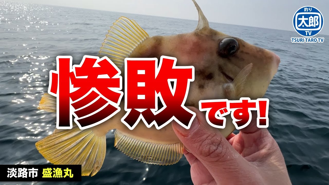 【カワハギ】デカハギ実績のある沼島でもこの時期の釣りは渋かった #釣り #初心者 #船釣り #淡路島 #沼島 #カワハギ #盛漁丸 #カハワギ