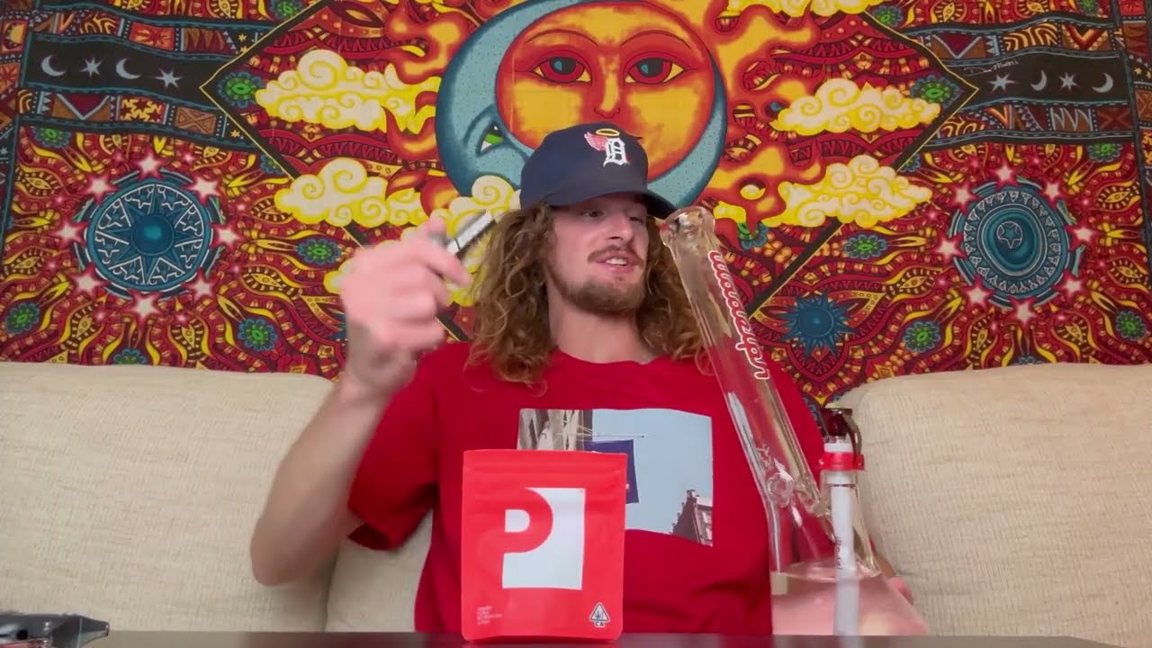 Обзор сорта Pink Plush! (от Preferred Gardens)