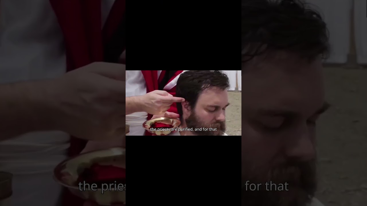 Prophecy ALERT: Perfect Red Heifer Approved, Temple Stone Ready to Be Laid!