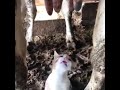لله في الافاق آيات لعل اقلها هو ما اليه هداك