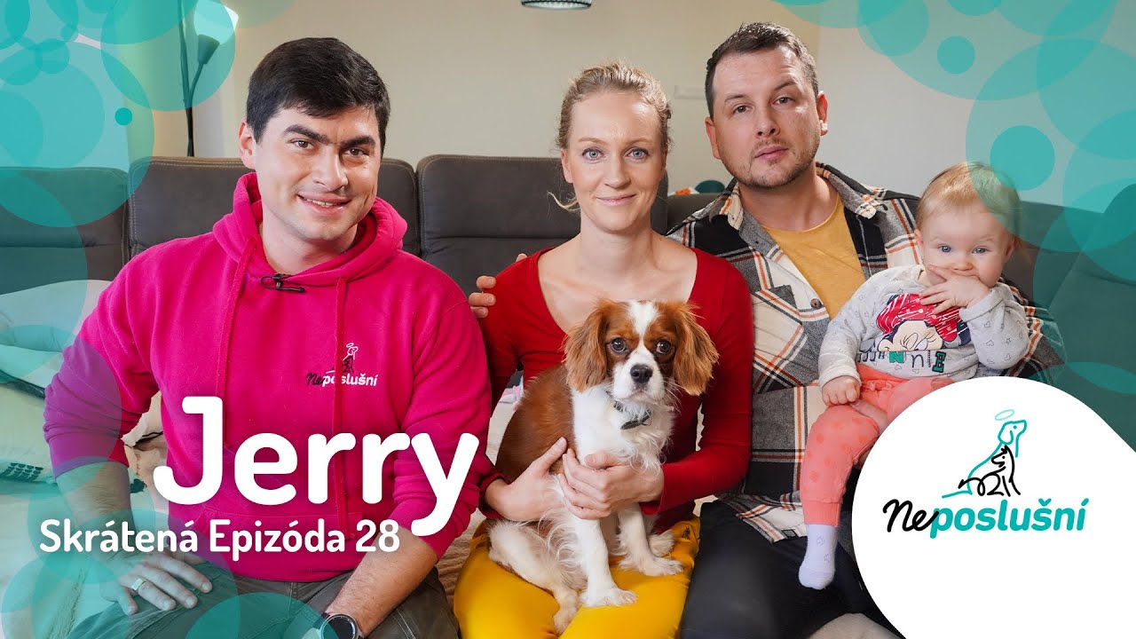 Do Rodiny Prišlo Bábätko a Psík z toho Zdivočel. JERRY (skrátené časti) NEPOSLUŠNÍ.