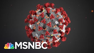 Celebrity 'It's Not If, It's When': CDC Warns Spread Of Coronavirus In U.S. Is Inevitable | Katy Tur | MSNBC Profile