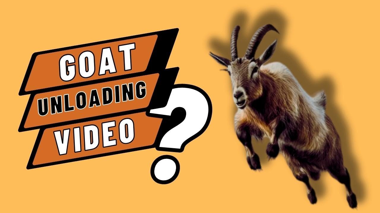biggest-goat-unloading-video-cow-vlogs-bd-youtube