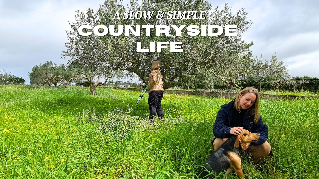 Simple Life in Sicily? It Looks Like This.