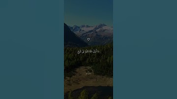 ارح قلبك وسمعك بتلاوة خاشعة بصوت القارئ اسلام صبحي 🥰 #راحة_نفسية #اكسبلور #اسلامصبحي #لايك