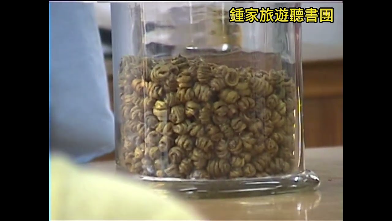 2006 鍾家旅遊聽書團