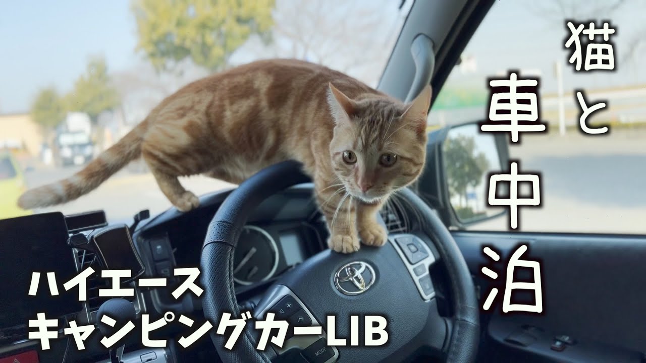 【キャンピングカーで猫と車中泊】渋沢栄一とカスリーン公園