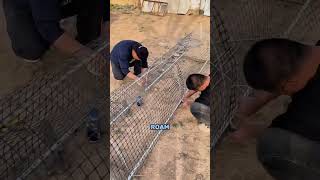 Smart Chicken Farming System: Walkway Coop + Vegetable Garden Integration