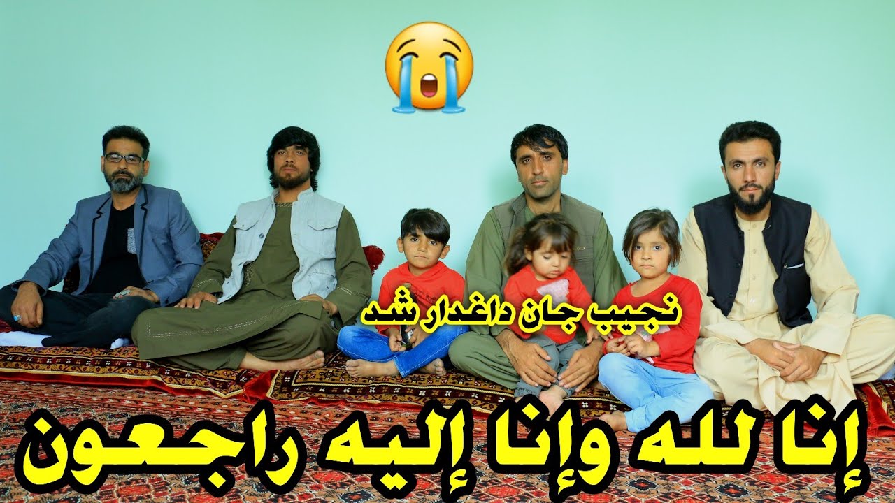 غم و شادی شوق|تسلیت و همدردی شوقی ها با نجیب جان|نجیب جان داغدار شد😭