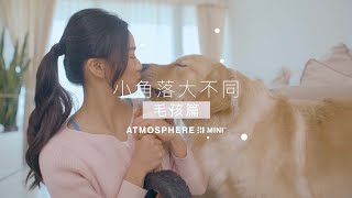 Atmosphere Mini™小角落大不同 - 毛孩篇