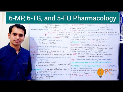 Anticancer Drugs (Part 5): Pharmacology of Mercaptopurine, Thioguanine, and Fluorouracil