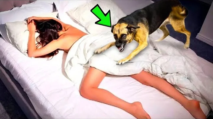 GIRL Slept With Her Dog Every Night. MONTHS Later, She Discovered Something Terrifying! - DayDayNews