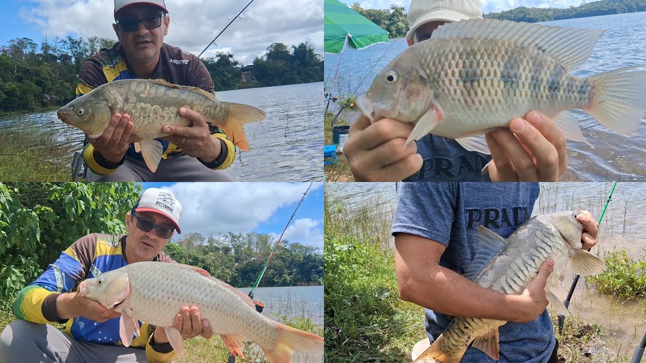  Novo ponto de Pesca com muita Ação com Emoção junto em um só dia 