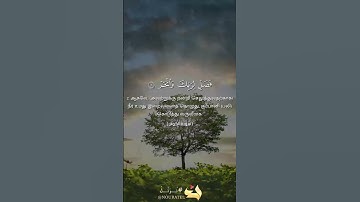 سورة الكوثر | تركي عبيد المري | حفص عن عاصم