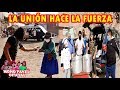 LA UNIÓN HACE LA FUERZA (AYUDANDO CON UN GRANITO DE ARENA) ★ MONO PAVEL OFICIAL ★