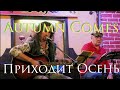 Константин Бир - Приходит Осень (live in Sсhwein 22.11.15)