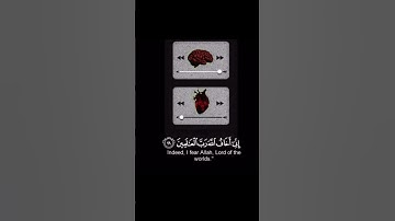 سورة الحشر || شريف مصطفى
