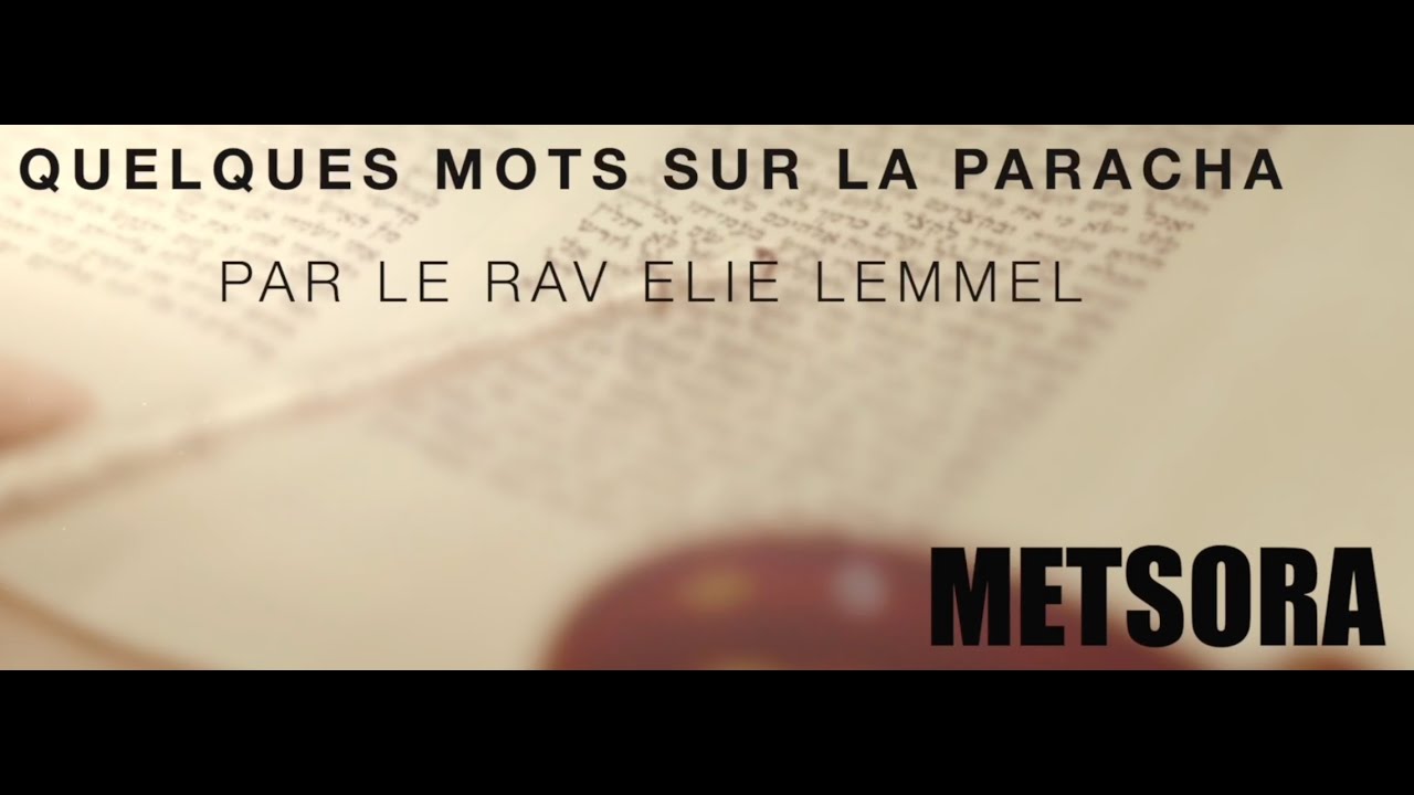 Une prière pour une erreur ? Rav Elie Lemmel - Parasha Metsora