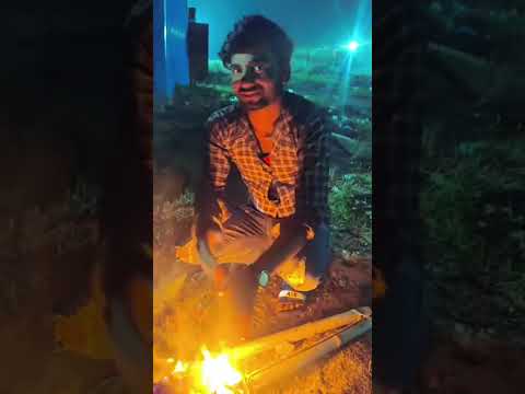 Https Www Instagram Com Reels Audio 882069769467988