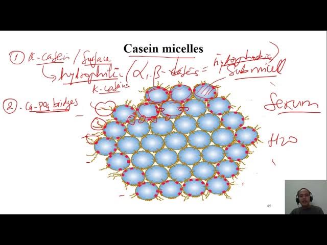 Lecture 20 Manufacture of Casein and Caseinates 