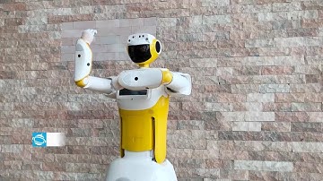 Sanbot Max Functional Testing 1.0