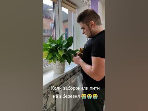 День без пивка😭 - YouTube