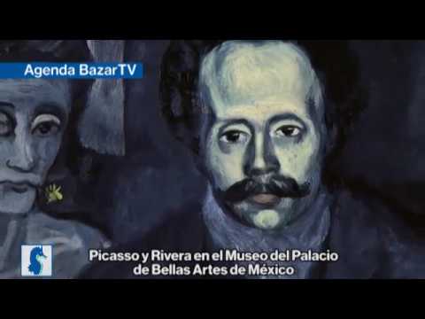 Paseo de las Artes: Picasso y Rivera en el Palacio de Bellas Artes de México camera iphone 8 plus apk