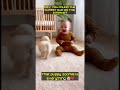 The cute puppy is playing with the baby #shorts #dog #baby #viral
