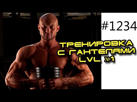 Тренировка с гантелями LVL №1 в домашних условиях для мужчин