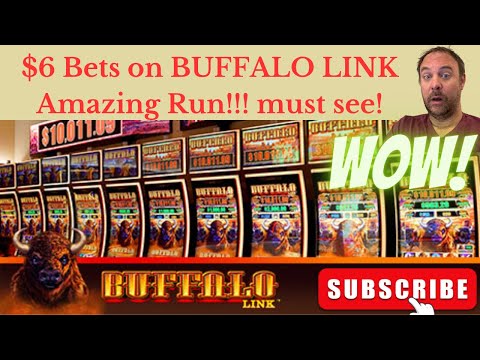Buffalo Link, $6 Bets, Amazing Run!