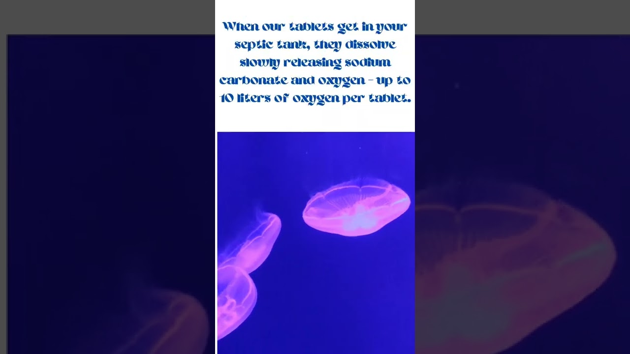 septifix ,keep your water tank clean upto 90 days