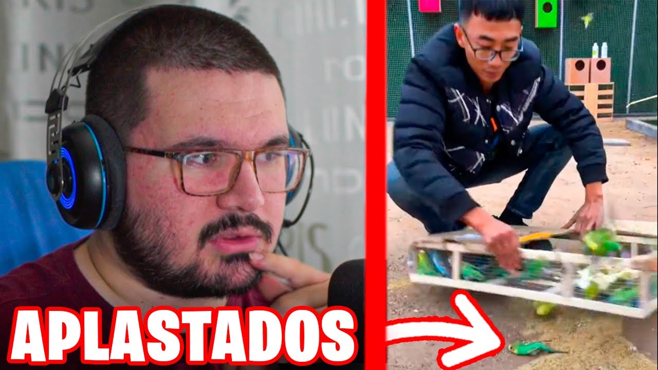 EL PEOR CRIADOR DE PERIQUITOS...