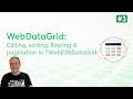 WebDataGrid #3: Editing, sorting, filtering & pagination in TWeb(DB)DataGrid