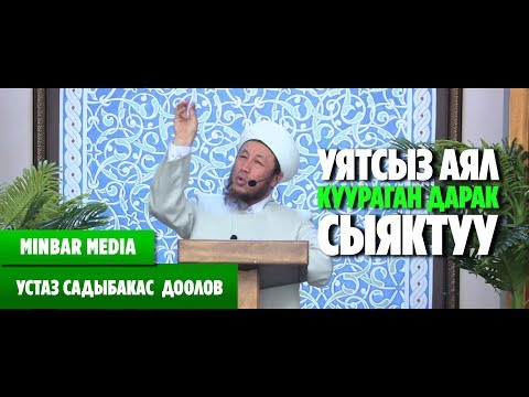 Video: Дарак сыяктуу клен жөнүндө