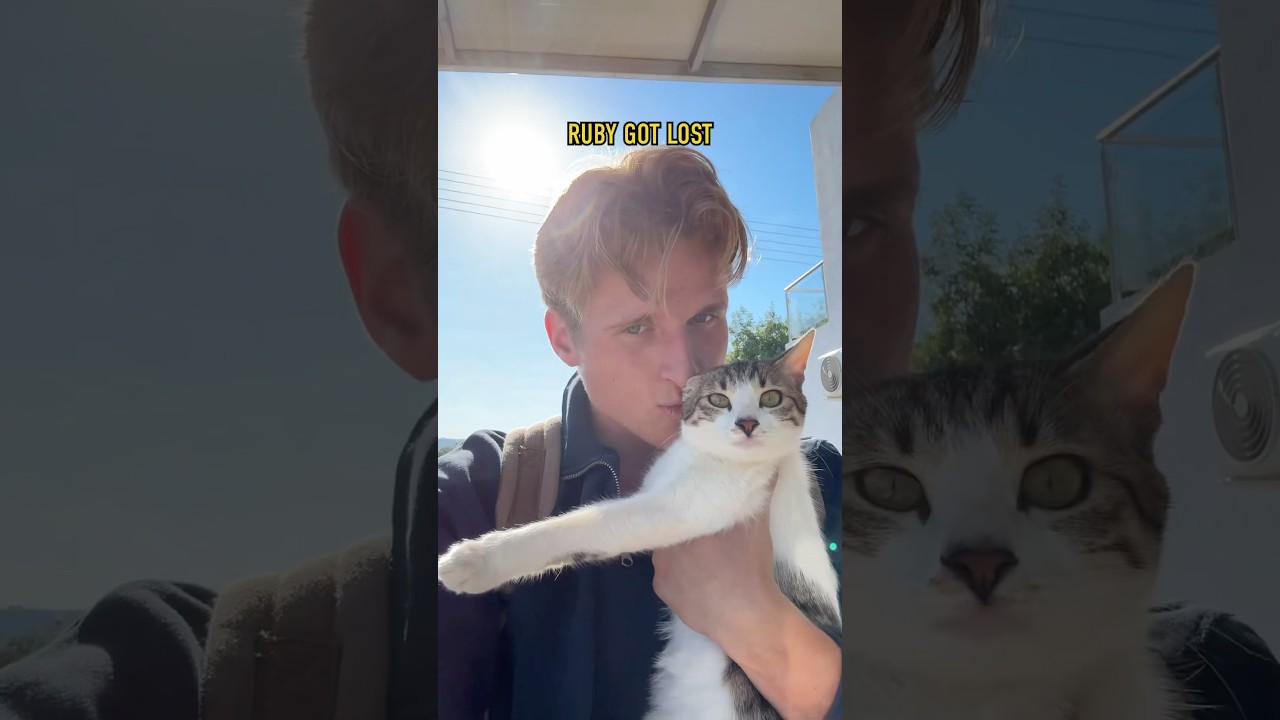 Is this Ruby the baby cat??