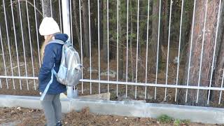 Vt4 Belgium - Testcard 1999